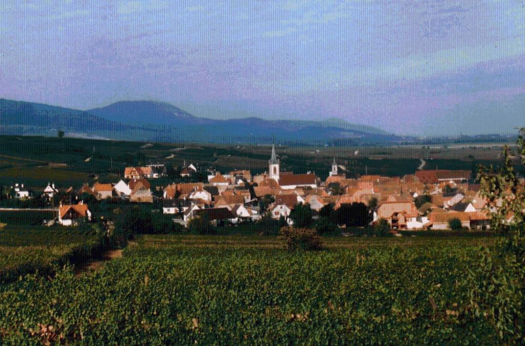 Gite Et Chambres D'Hotes, L'Erable Beblenheim Exterior photo